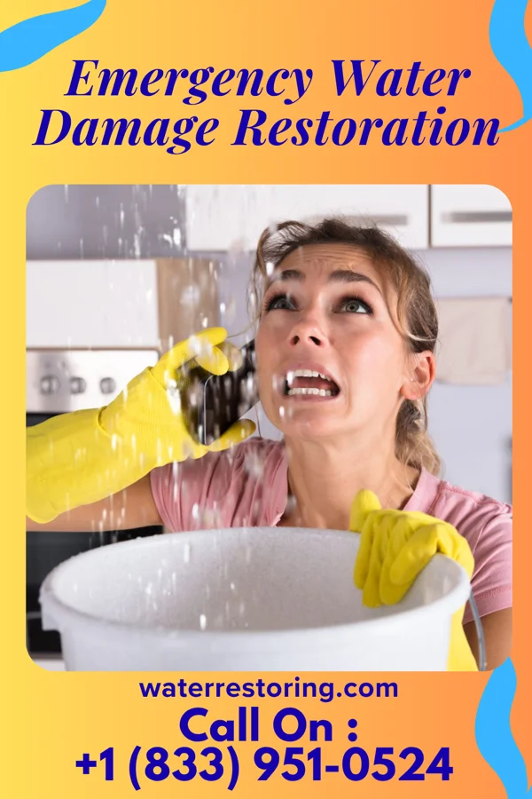 Emergency Water Damage Restoration in Ingram, TX
